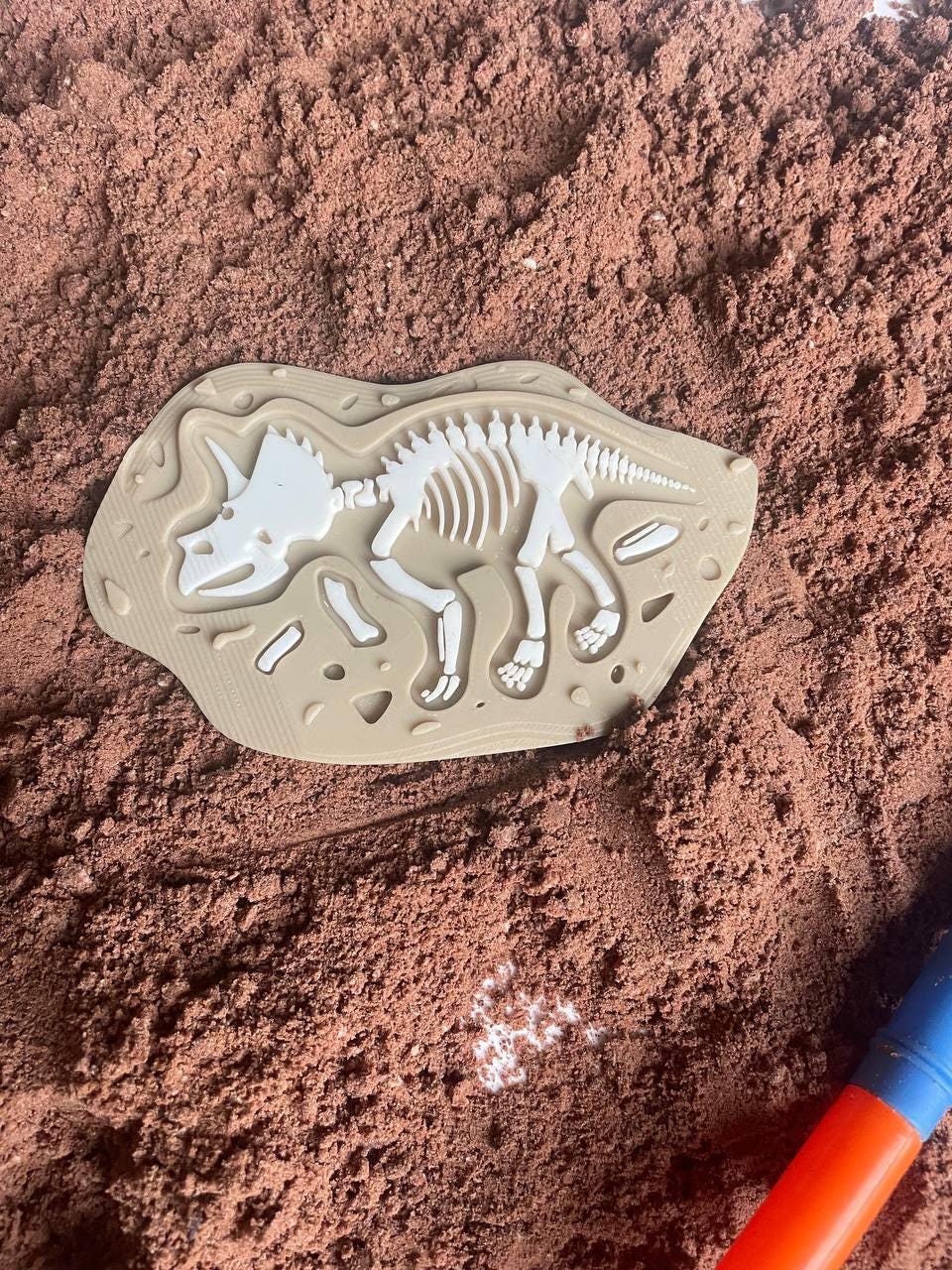 Dinosaur Fossil Mould - Montessori Sensory Play Tray